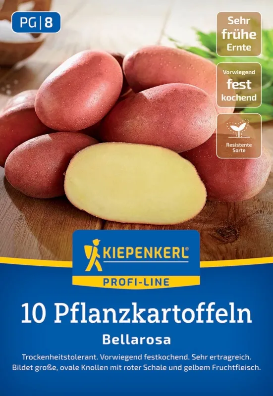 KIEPENKERL PROFI LINE Pflanzkartoffel 'Bellarosa', festkochend, 10 Stück - Gallerie Bild 1